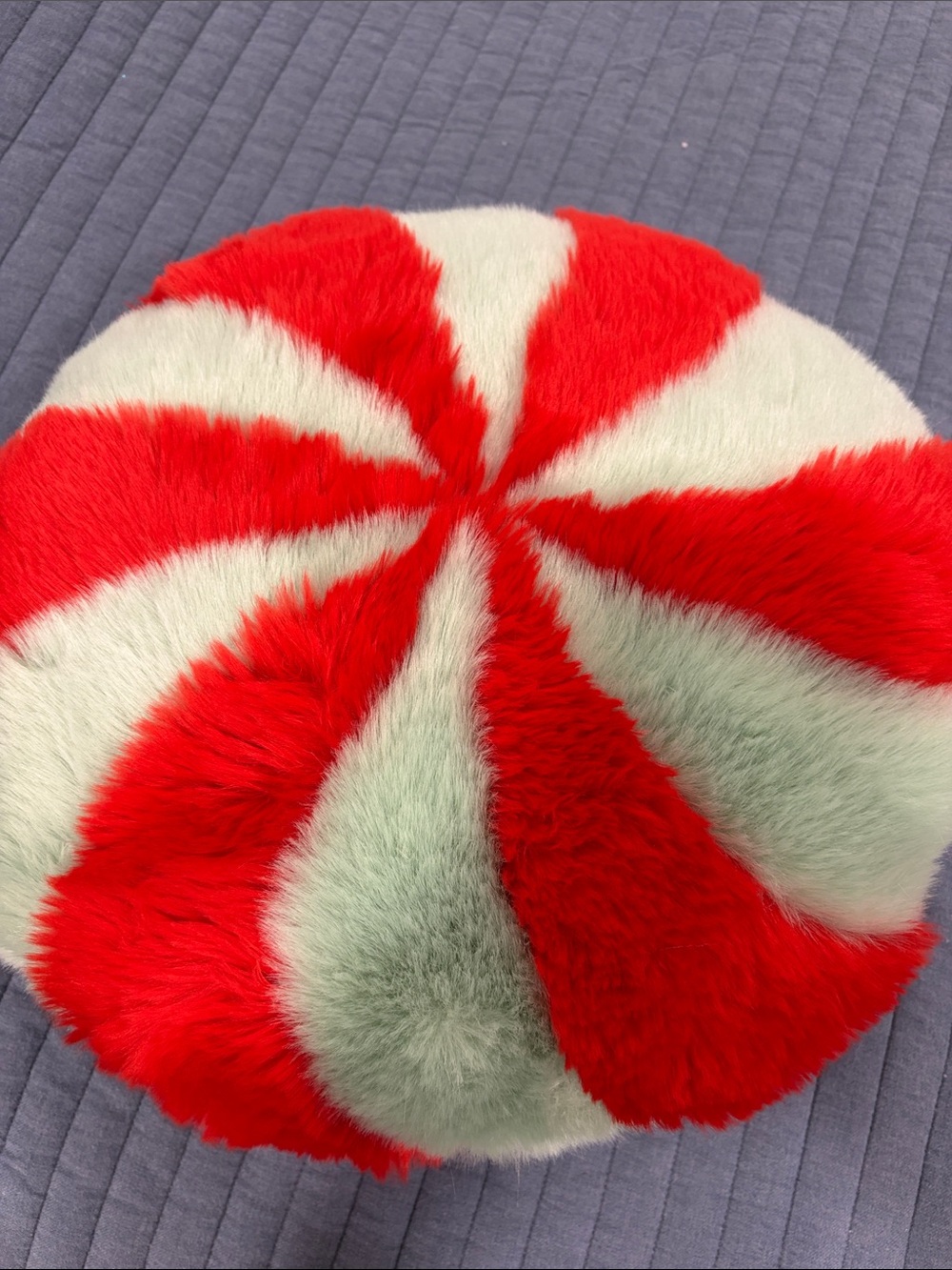 Anthropologie 16” Round Toss Pillow